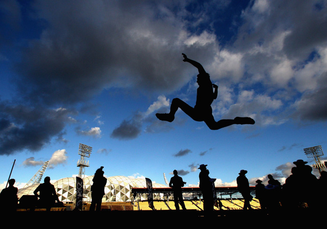 正手单板质 正手单板质