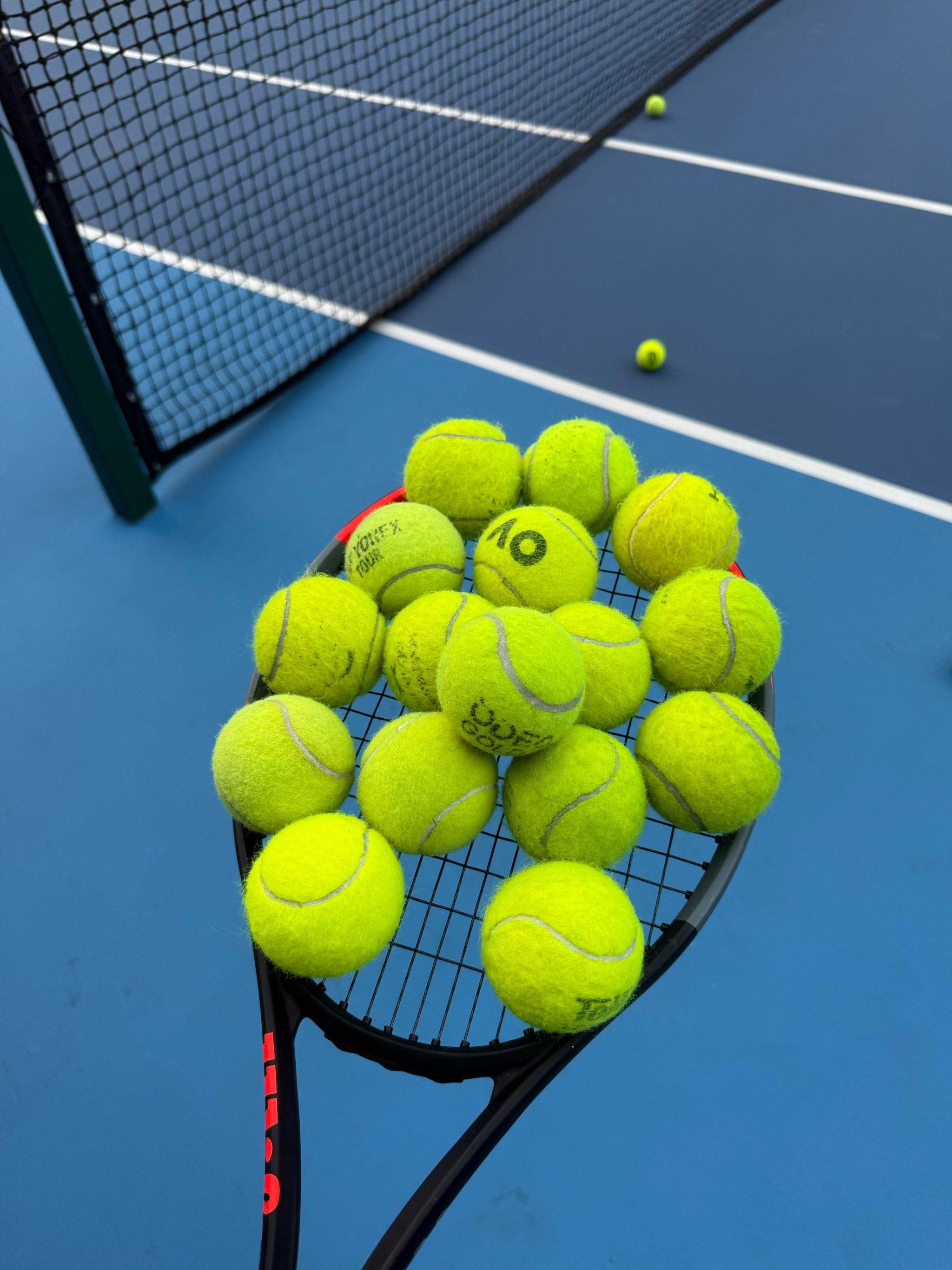 浙江队的内 浙江队的内